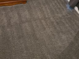 carpet cleaning 3